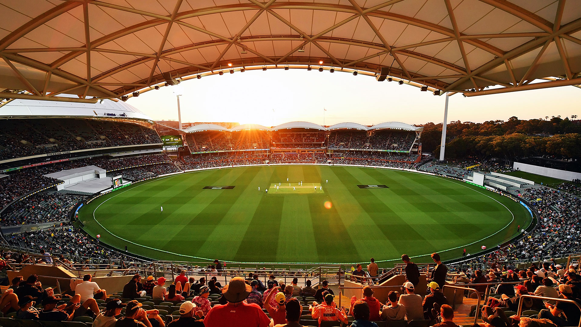 Adelaide Oval Day-Night Test Match
