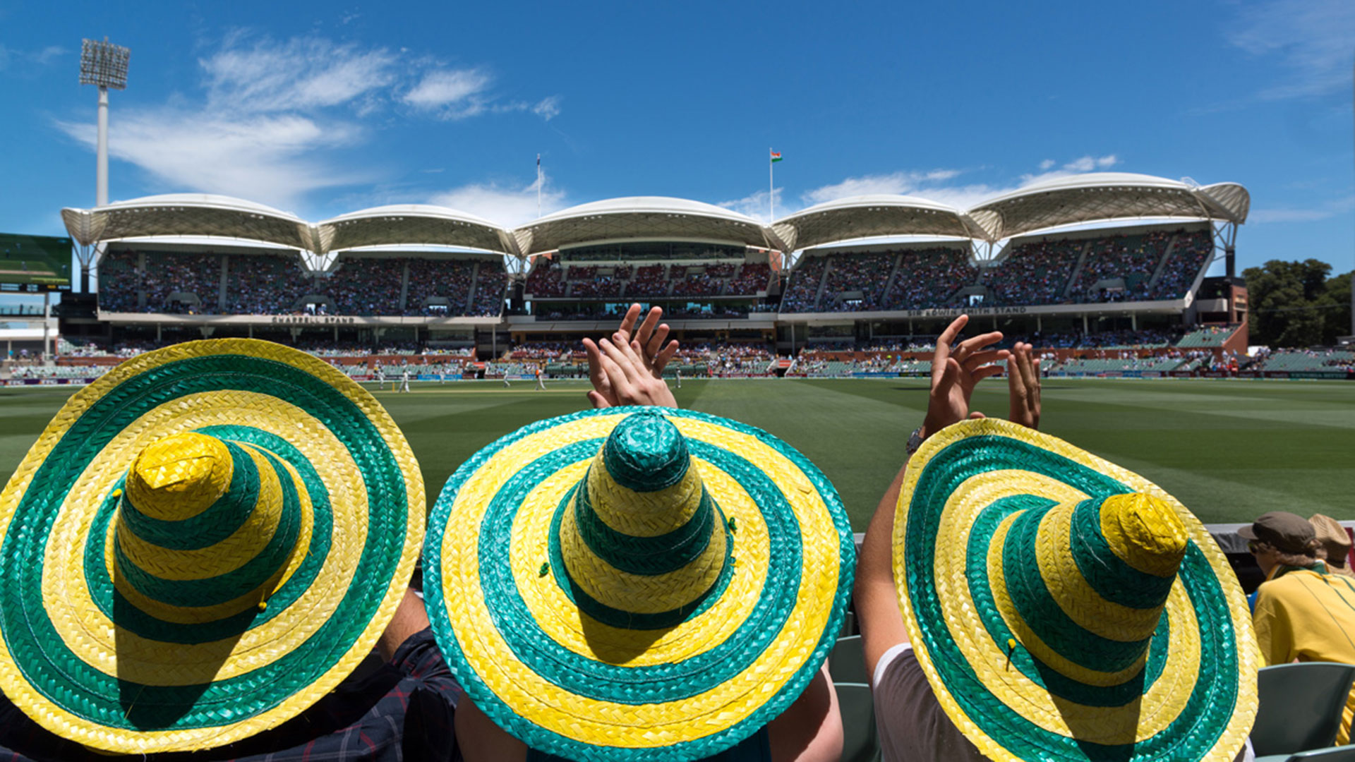 Fans watching the ODI at Adelaide Oval